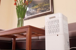 Trải Nghiệm Máy Hút Ẩm FujiE Tại Cửa Hàng: Tiếng Ồn, Bình Nước, Ống Xả