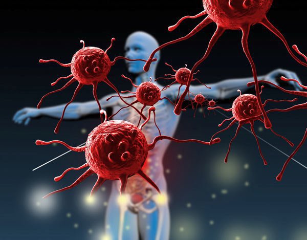  Hệ thống miễn dịch giúp cơ thể con người chống lại một số tác nhân gây bệnh