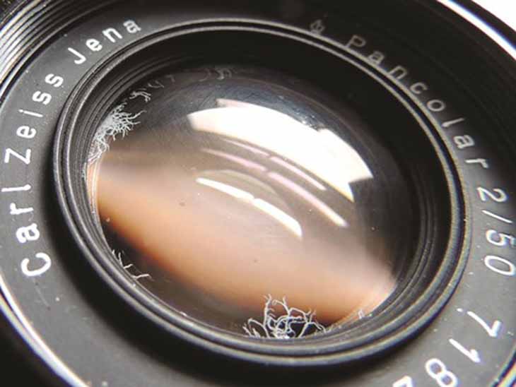 nấm rễ tre trên lens máy ảnh 1